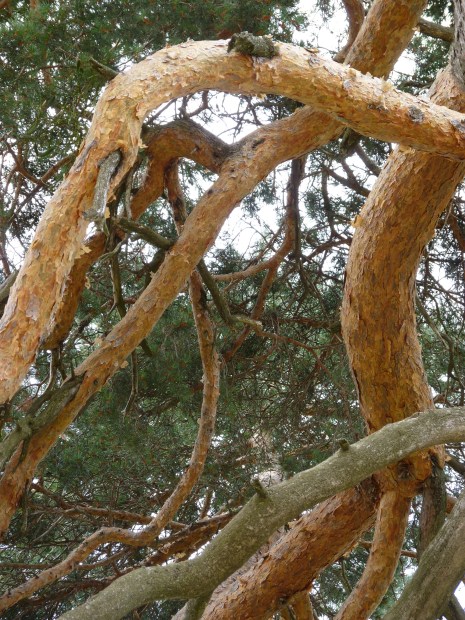 turning and turning...while iam alive